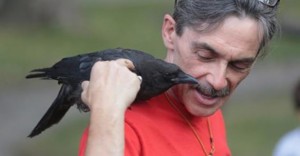 曼尼托巴省男救乌鸦一命 鸟儿形影不离