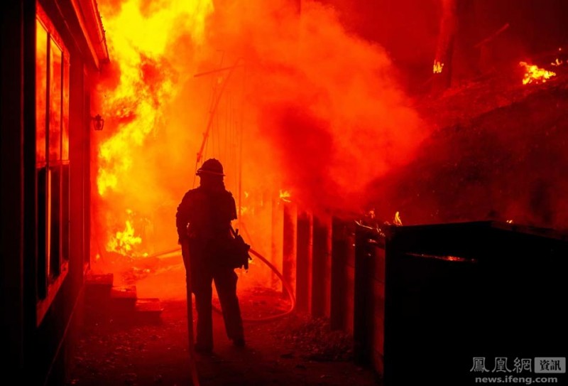 实拍山火肆虐加州:马被烤死在路边(高清组图)