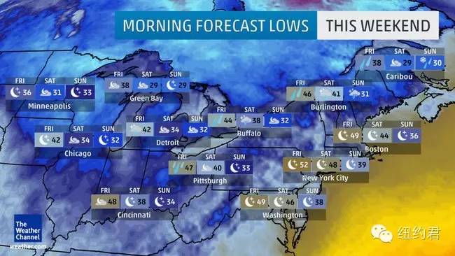 现在的纽约特别冷!艳阳里大雪纷飞……(组图)
