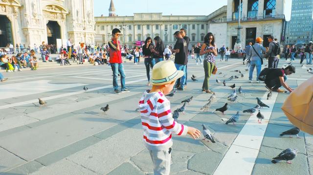 中国游客欧洲挨宰:喂鸽子玉米一粒一欧元(图)