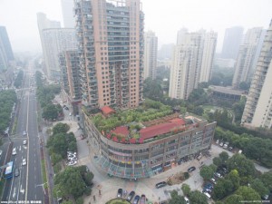 杭州最牛"空中后花园"曝光 竹子三四米高(组图)