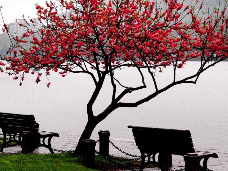 中国成为第二富国家:闷头问问幸福吗?(图)