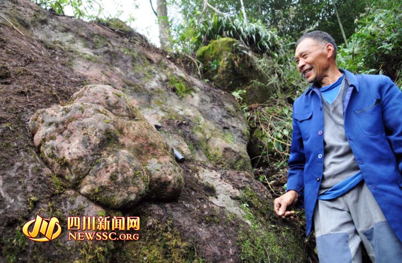 四川现巨型恐龙足迹:长60cm 厚20cm(图)