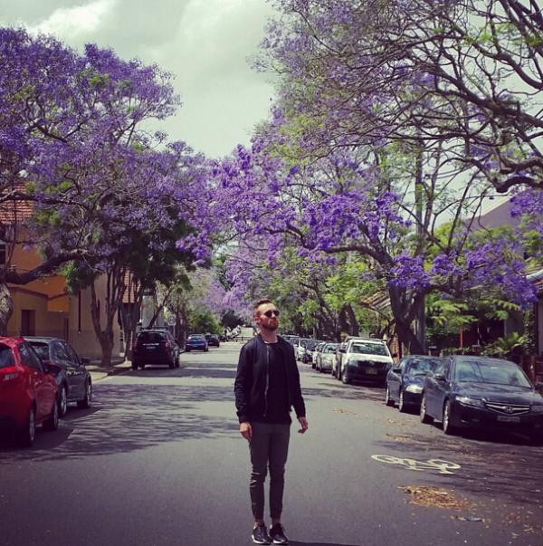 热帖:最近,澳大利亚人被这种紫色的花搞疯了…