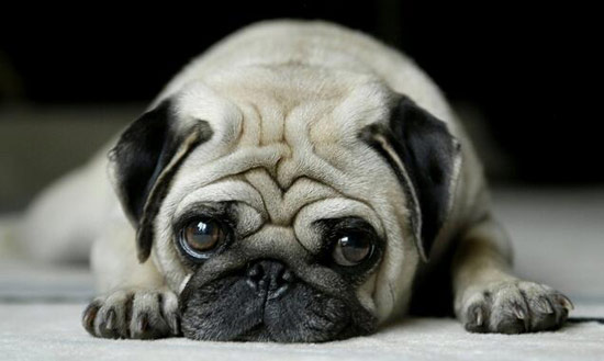 女子手机一夜疯跑50G流量 真相竟然是……