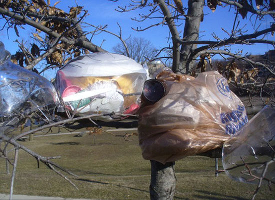 美印度裔博士后试验零排放生活 连厕纸都不用(图)