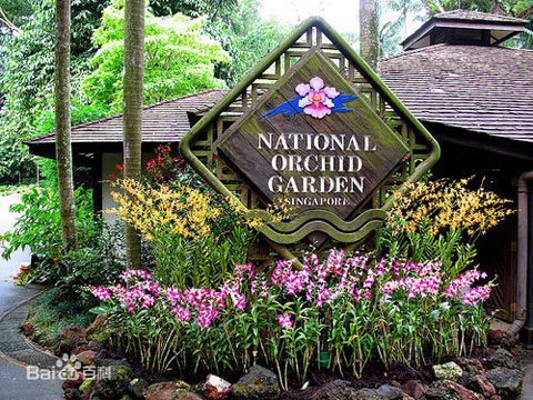 外媒: 习近平彭丽媛名字命名的胡姬花可常年开花