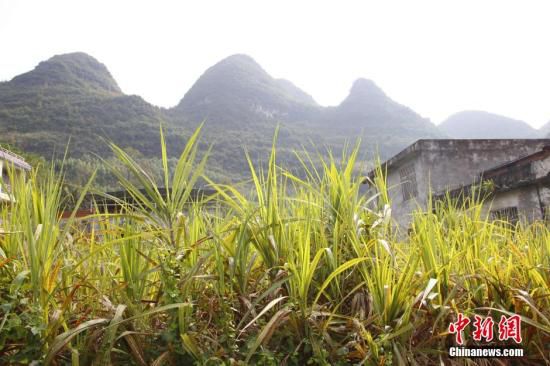 官方回应“贫困人口7000万仍花钱帮助沿线国家”