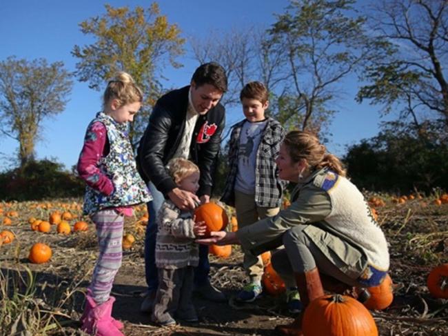 这个问题痛 加拿大新内阁为何没华裔?(图)