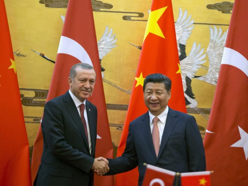 土耳其T20主席:埃尔多安强势不同习近平(图)