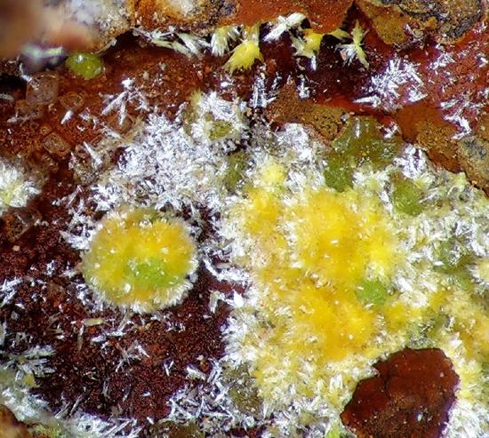 越美越毒?矿石"玫瑰花"铀矿石辐射很厉害吗(图)