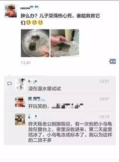 朋友圈都在问,这两只被冻住的乌龟还有救吗?(图)