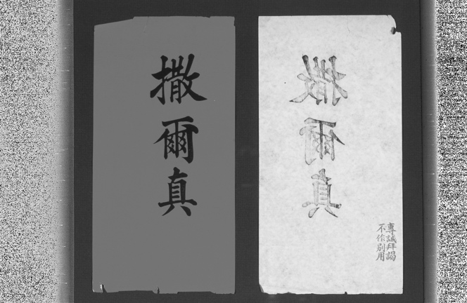 罕见老照片曝光:前义和团员围观洋人(组图)