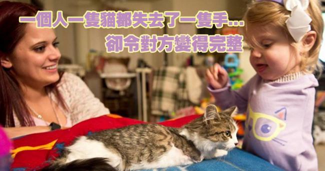 2岁女童因癌失左手 收养三脚猫相依为伴(图)