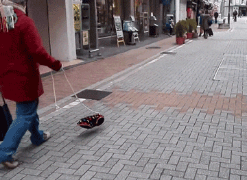 日本街头,竟然有人在遛隐形的狗?(动图)