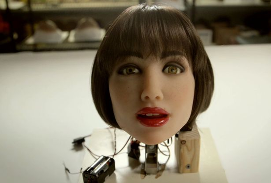 外媒: 2016年或迎来性爱机器人热潮(组图)