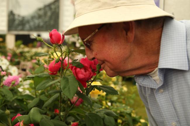 热帖:嗅觉渐渐改变了?你可能已患上5种疾病