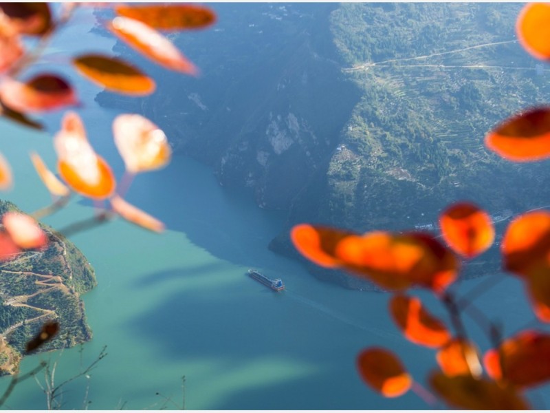 两手抓两手硬 习近平结束“绿林”时代?