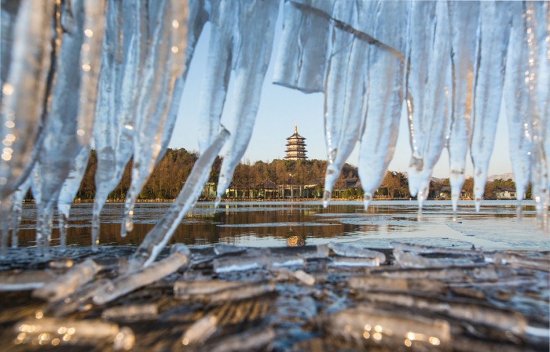 直击"速冻"杭州:冰挂冰草营造"天堂"奇观(图)