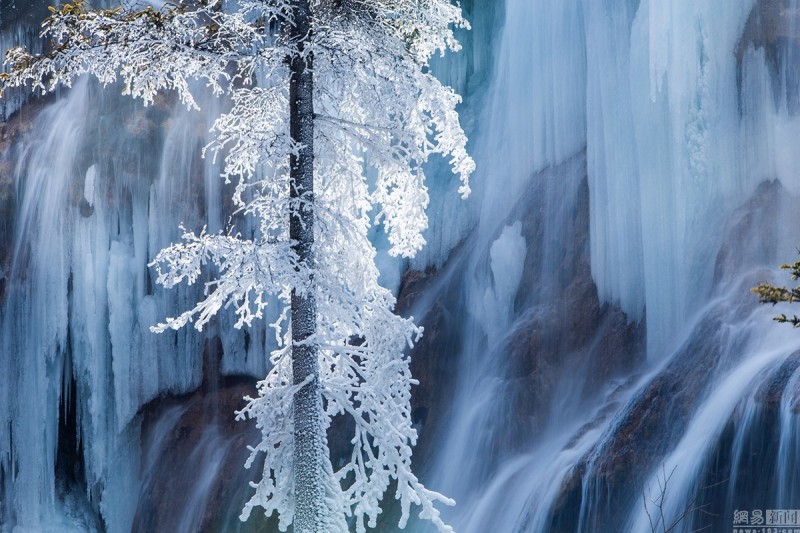 寒潮席卷四川 绝美九寨沟进入"冰河世纪"(高清图)