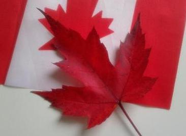 加拿大夫妻团聚移民你真的了解么?