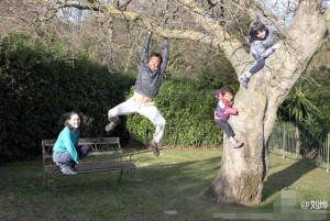 刘烨晒全家福 网友：一家四口，你最像猴(图)