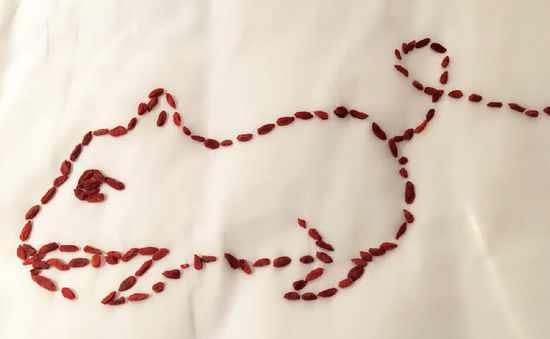 陈晓用枸杞当血浆演七窍流血 网友:在剧组回收的