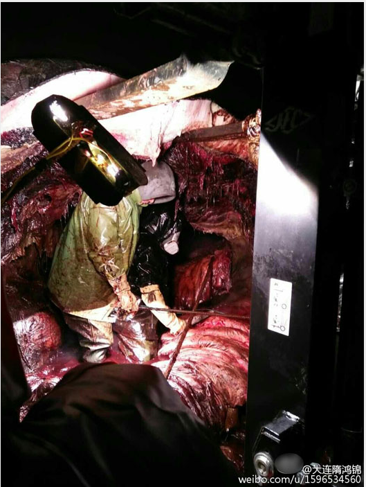 血腥慎入:走进抹香鲸的体内 糟糕到难以形容