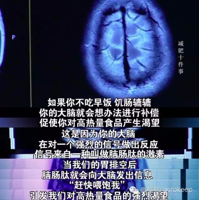 热帖:关于减肥,你需要知道的10个惊人事实(图)