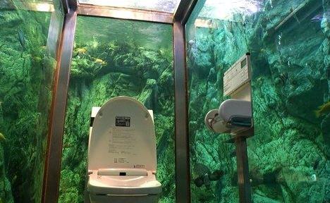 厕所成美景:日本人体验“与鱼共厕” 身临其境