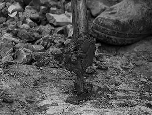 村民种地挖出"油田"：油像井水涌出 气味刺鼻(图)