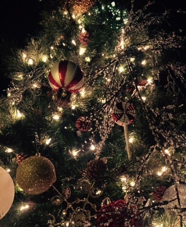 汪峰自曝不会娇宠孩子 章子怡同意吗?(组图)