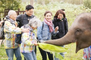 李湘骑大象如女王出巡 袁咏仪变身袁三岁(组图)