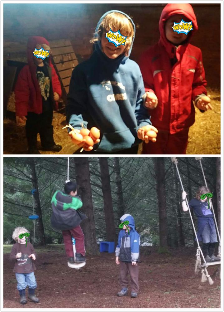 我和孩子们一起种段木香菇(图)