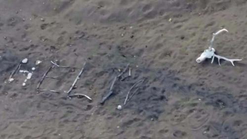 72岁老妇与爱犬被困沙漠9天 摆求救信号获救(图)