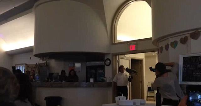 美国夫妇婚礼 猫头鹰扮"运戒"使者 结果...(视频)