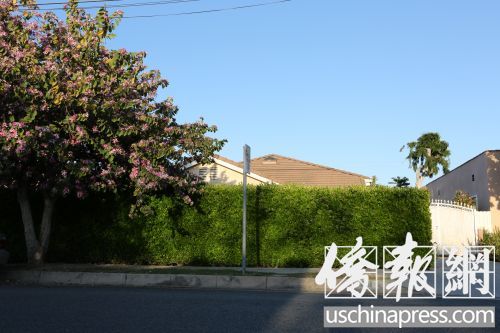 洛杉矶车内腐尸案:遇害人是上海人(图)