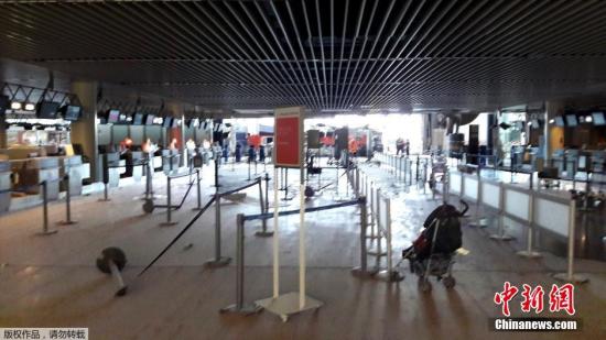 布鲁塞尔机场警察:至少50名IS支持者在机场工作