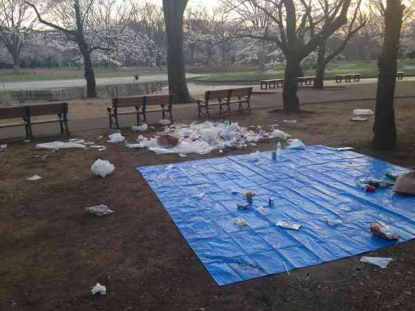 日本赏樱后垃圾遍地 又是中国人干的?(组图)