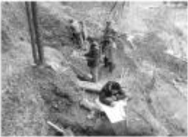 浙江发现北宋墓葬群 村民称山坡滚下瓷瓶(组图)