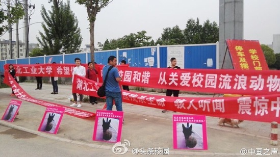 高校保安撞狗护学生续:爱狗人士校门口示威(图)