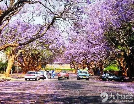 一个国家的“堕落史”:从富足到贫困仅用30年