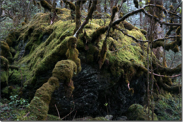 四川出现“中国百慕大” 专家:存在异常空间(图)
