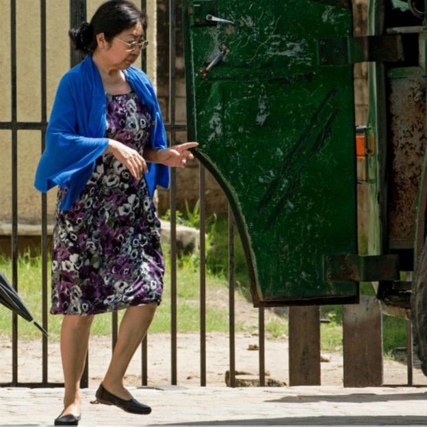 BBC:中国“象牙女王”杨凤兰是谁?(图)