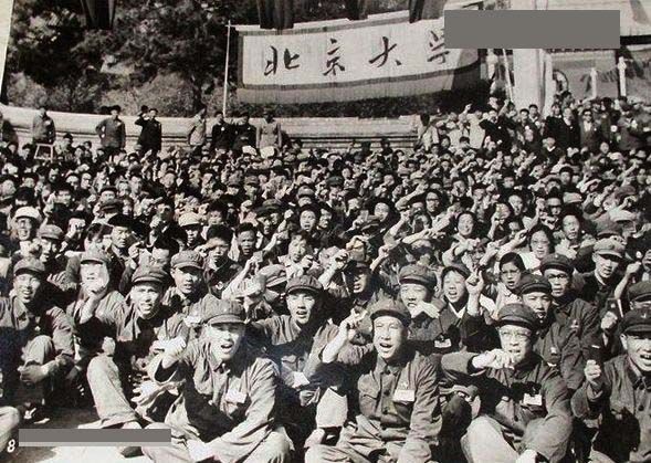 “文革数据”:整了1亿人 死了数千万人