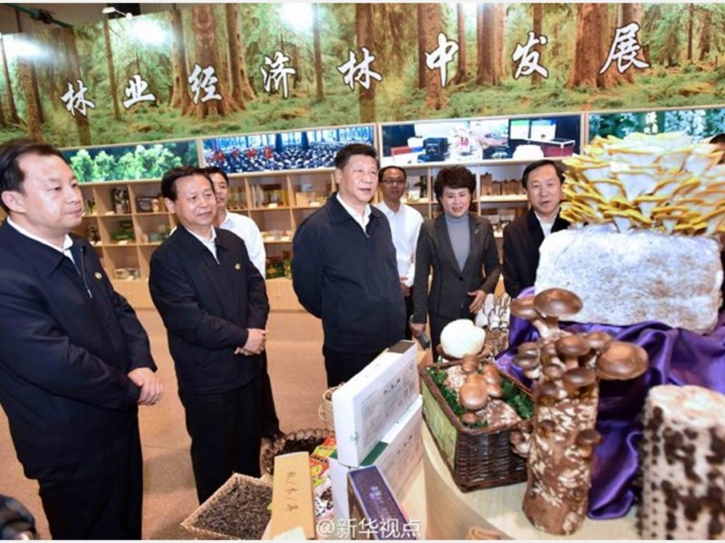 习近平赴黑龙江考察 首站到伊春(组图)