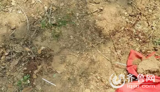 山东高中生被捅8刀不治身亡 凶手疑为其男友(图)