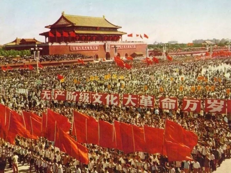 一个医学教授关于文革的记忆:别了,鸡血年代(图)