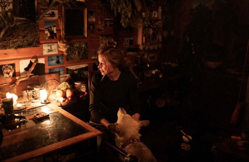 女子北极遁世生活：与85只哈士奇相依相伴(组图)