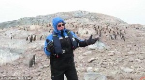 歌唱家南极高歌完毕，发现企鹅宝宝全吓跑了(视)